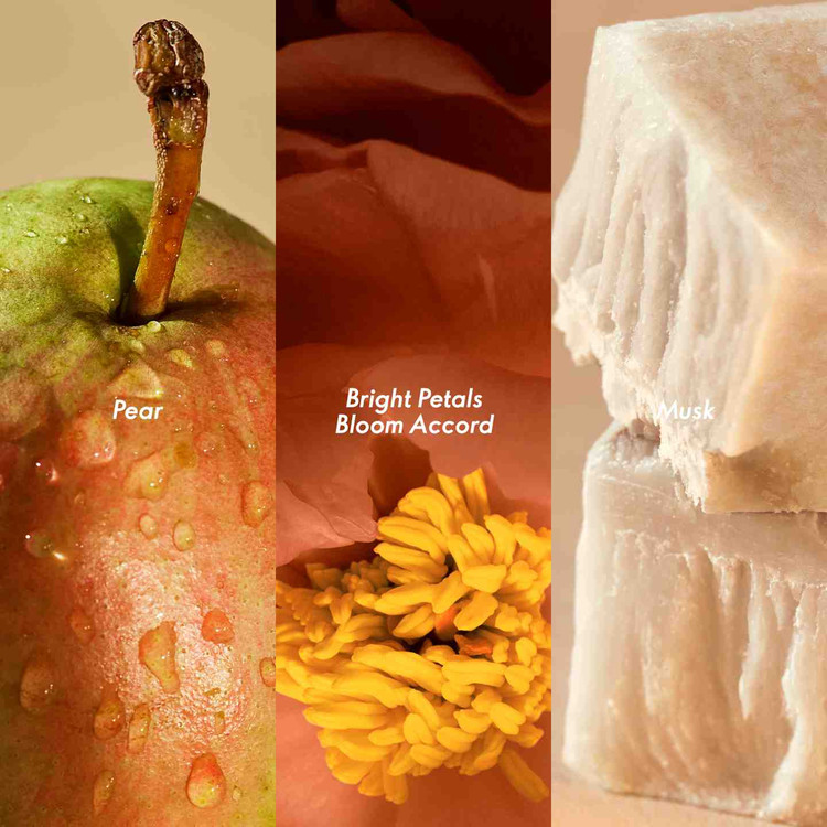 عطر زنانه ویسپرس اف می اوریفلیم