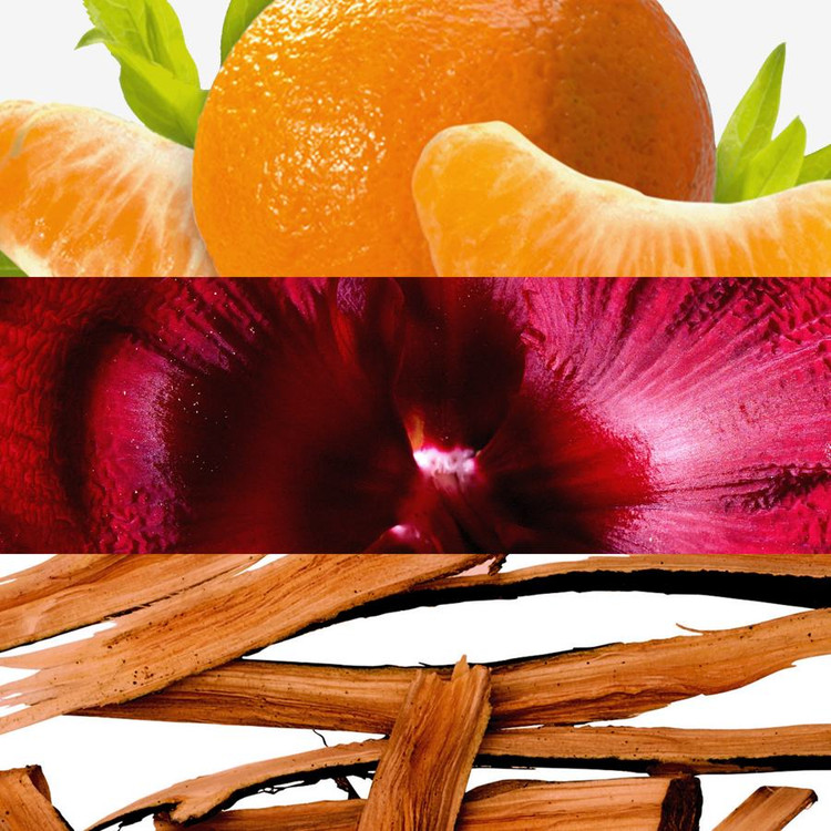 عطر دیواین رویال اوریفلیم