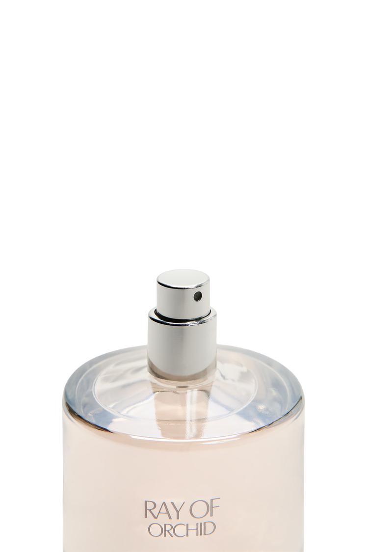 عطر اورکید زارا