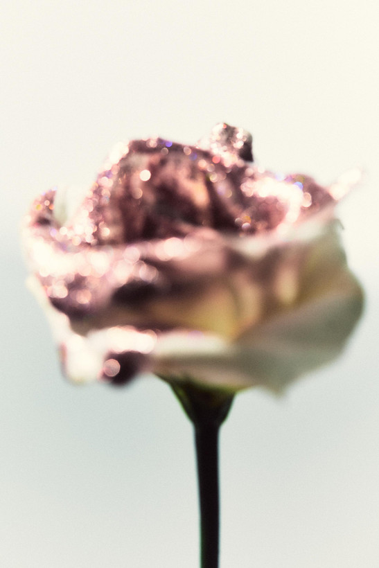 عطر گلدن دیکید اکلت وانیل